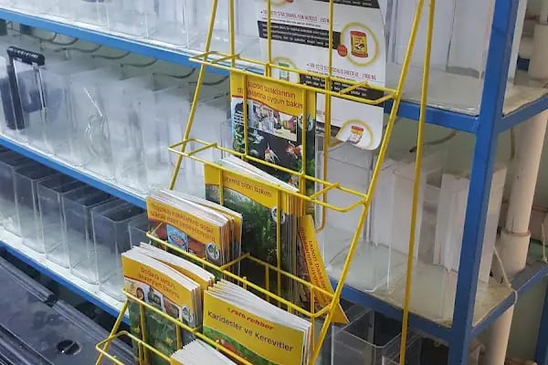 Betta Marketim Petshop - Resim 15