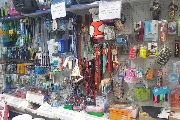 Betta Marketim Petshop - Resim 12