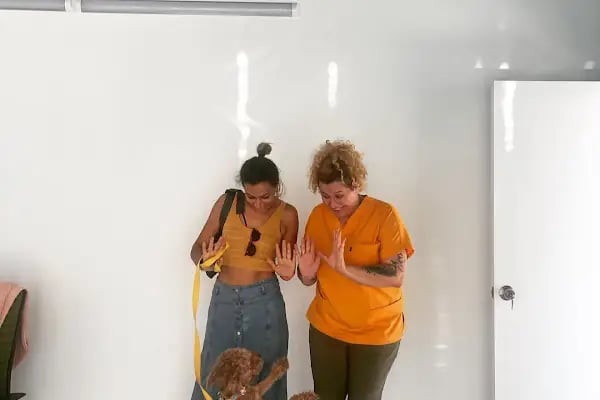 Alpadu Veteriner Kliniği - Arnavutköy veteriner kliniği - Kedi -Köpek - Kafes kuşları - Egzotik hayvan - Resim 4