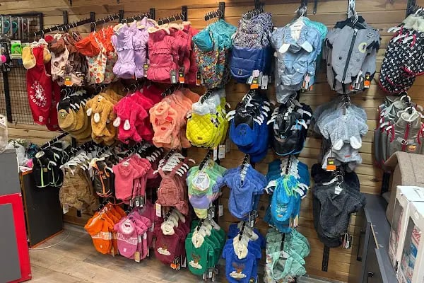 Kity Petshop Adana - Resim 7