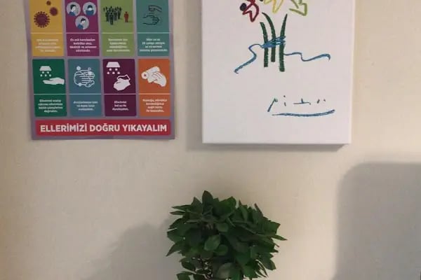 Deniz Doğruöz - Ataşehir Psikolog - Ergen ve Yetişkin Psikolog - Evlilik ve Çift Terapisti - EMDR Terapi - Resim 3