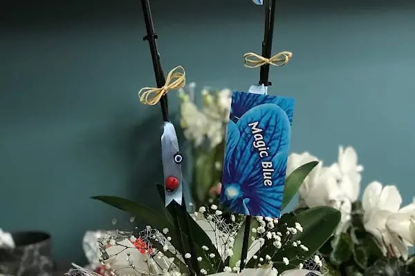 CeyCey Çiçekçilik - Resim 9