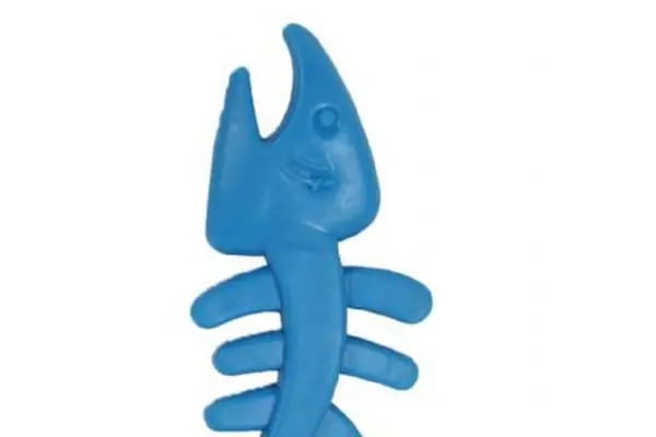 Yıldız Petshop (Şarampol) - Resim 8