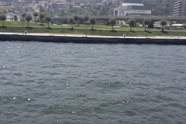 Izmir Limani - Resim 11