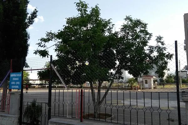Güngör Gencer İlkokulu - Resim 13