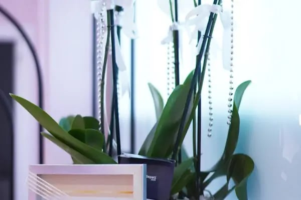 Eylül Öztürk Nail Spa Ataşehir / İstanbul Protez Tırnak - Resim 11