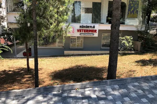 Kükürtlü Veteriner Muayenehanesi - Resim 20
