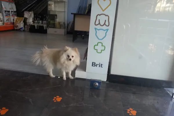 Petpark Veteriner Klinigi Denizli - Resim 10