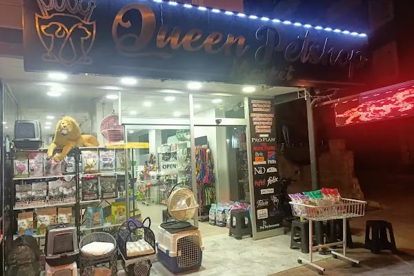 Queen Petshop - Resim 20