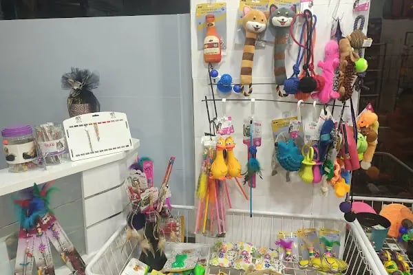 Queen Petshop - Resim 11