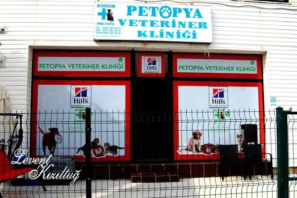 Petopya Veteriner Kliniği - Resim 3