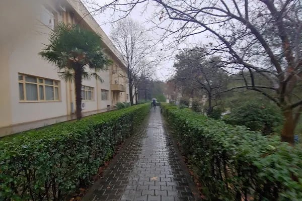 BUÜ Gemlik Asım Kocabıyık Meslek Yüksek Okulu - Resim 8