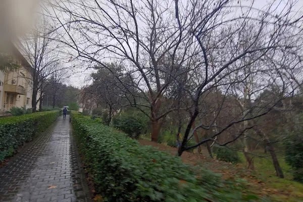 BUÜ Gemlik Asım Kocabıyık Meslek Yüksek Okulu - Resim 18
