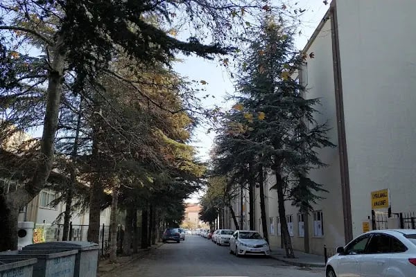 BUÜ Gemlik Asım Kocabıyık Meslek Yüksek Okulu - Resim 7