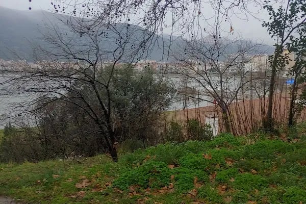 BUÜ Gemlik Asım Kocabıyık Meslek Yüksek Okulu - Resim 19