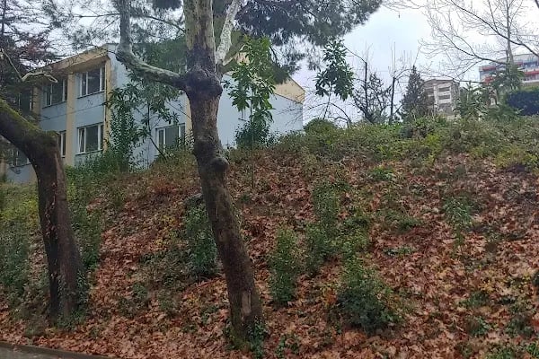 BUÜ Gemlik Asım Kocabıyık Meslek Yüksek Okulu - Resim 17