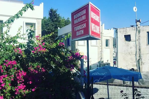 Sevpati Pet (Pet Pansiyon &amp; Pet Kuaför &amp; Pet Shop) - Resim 4
