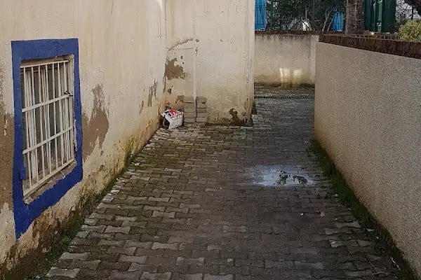Sevpati Pet (Pet Pansiyon &amp; Pet Kuaför &amp; Pet Shop) - Resim 14