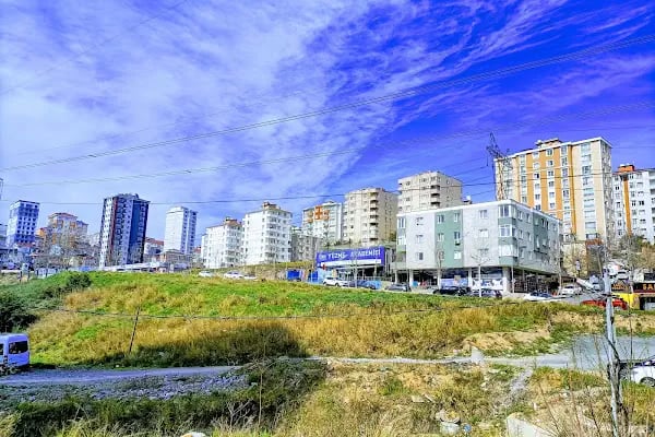 Pasifik Su Sporları Kulübü - Resim 5