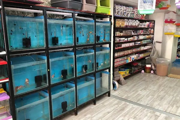 Pati'ş Petshop - Resim 6