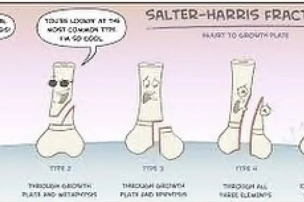 Yalıkavak Halikarnas Veteriner Kliniği - Resim 18