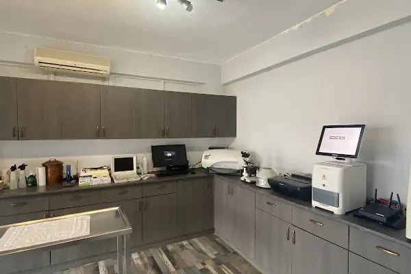 Yalıkavak Halikarnas Veteriner Kliniği - Resim 12