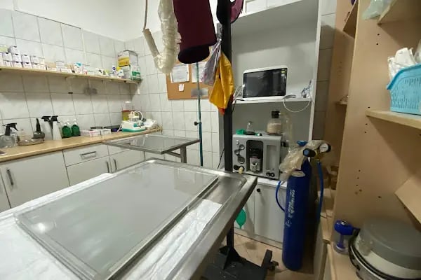 Yalıkavak Halikarnas Veteriner Kliniği - Resim 4