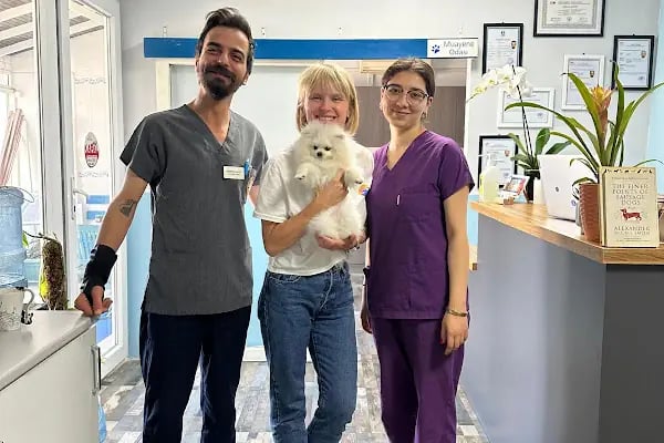 Yalıkavak Halikarnas Veteriner Kliniği - Resim 7