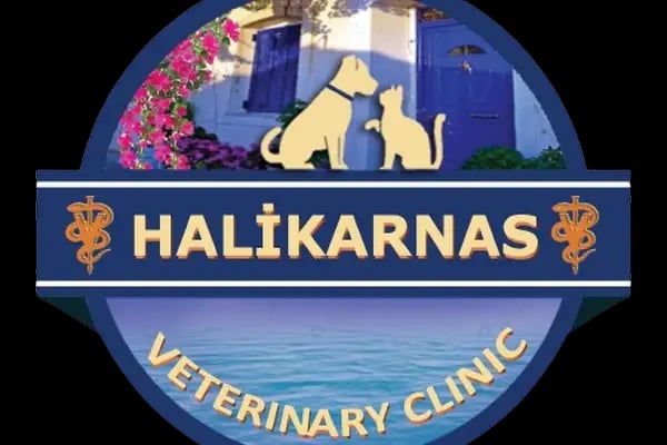 Yalıkavak Halikarnas Veteriner Kliniği - Resim 19