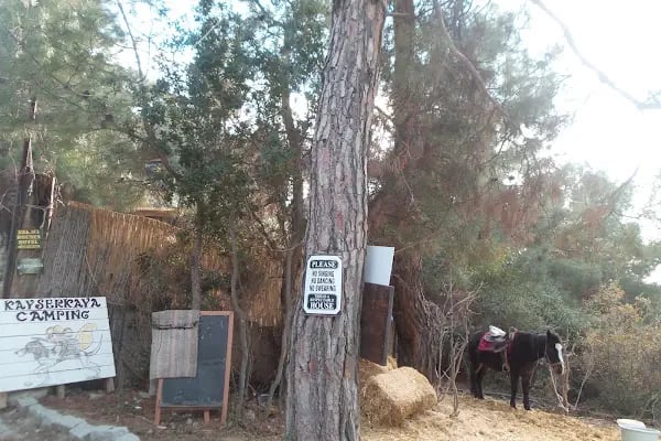 Kayserkaya Bungalows - Resim 10