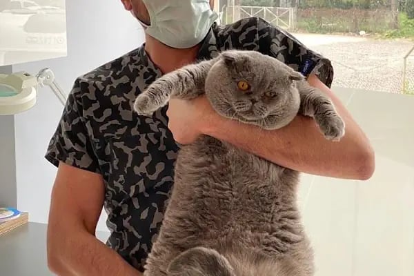 Ata-Vet Veteriner kliniği - Resim 7