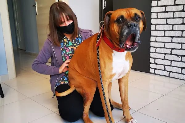 Ata-Vet Veteriner kliniği - Resim 5
