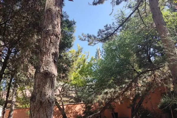 Şehit Resul Ekrem Gökdoğan Anadolu lisesi - Resim 3