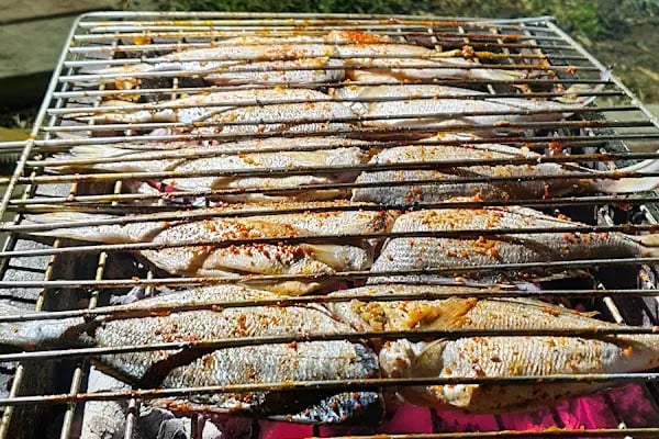 Karpuzatan Mesire Alani Ve Piknik Yeri - Resim 12