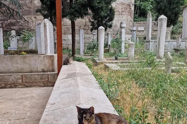 Hazreti Ebu Şeybe el Hudri - Resim 8