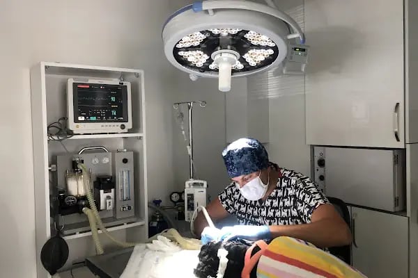 Aksoy Veteriner Kliniği - Resim 7