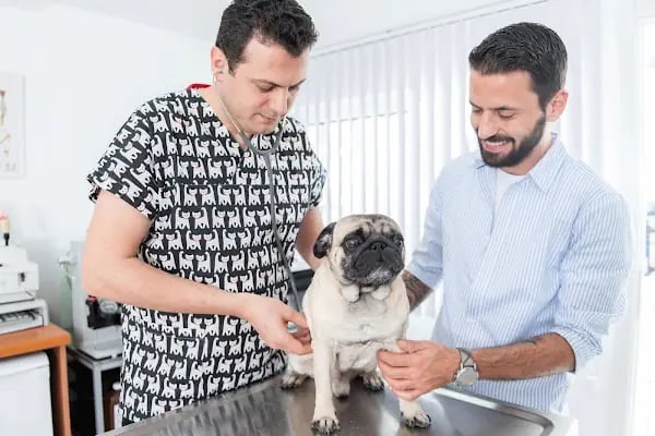 Aksoy Veteriner Kliniği - Resim 14