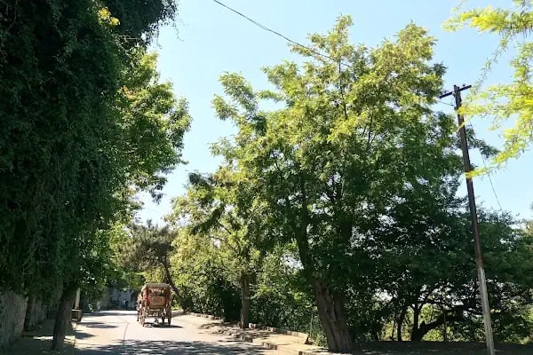 Çamakya Aile Plajı - Resim 11
