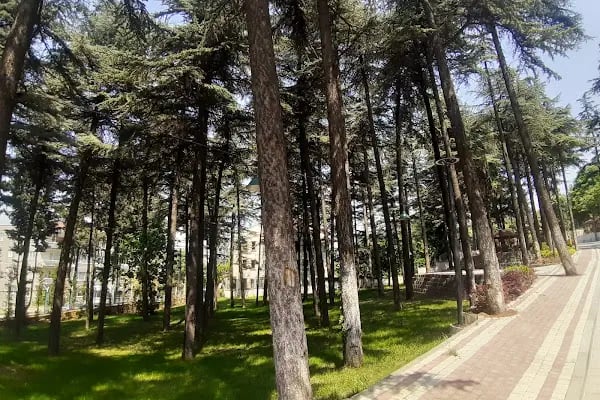 Bursa GETAT (Geleneksel ve Tamamlayıcı Tıp) Eğitim ve Uygulama Merkezi - Resim 15