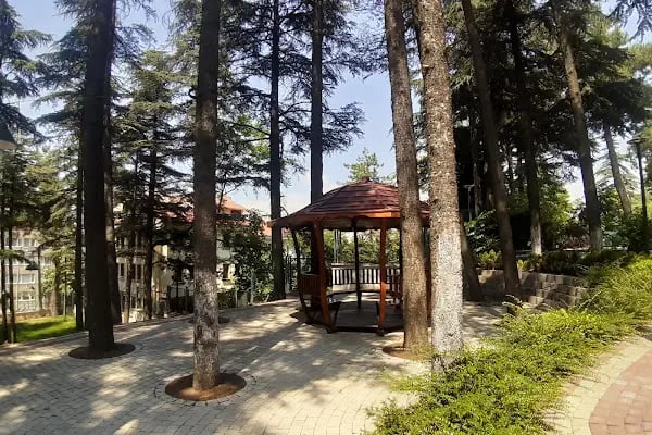 Bursa GETAT (Geleneksel ve Tamamlayıcı Tıp) Eğitim ve Uygulama Merkezi - Resim 18