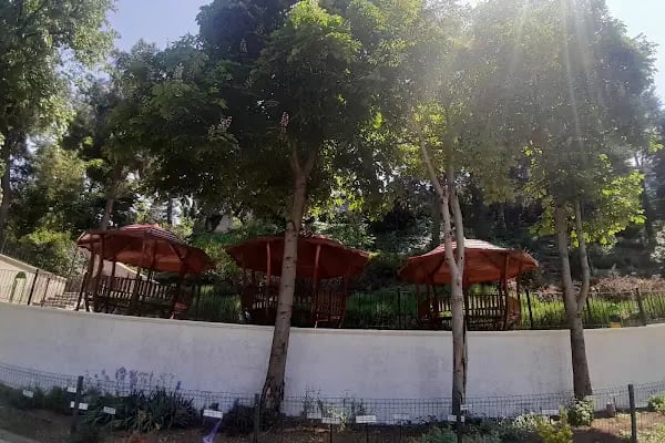 Bursa GETAT (Geleneksel ve Tamamlayıcı Tıp) Eğitim ve Uygulama Merkezi - Resim 7