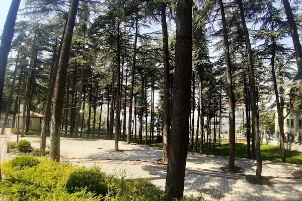 Bursa GETAT (Geleneksel ve Tamamlayıcı Tıp) Eğitim ve Uygulama Merkezi - Resim 14