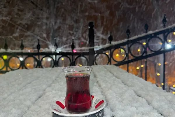 Hamido Baklava &amp; Fıstık Avcılar - Resim 5