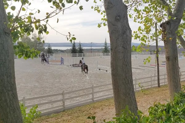 Gazi Binicilik Spor Kulübü &amp; Anadolu Team Gaziantep - Resim 6