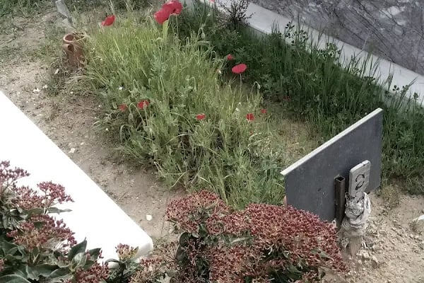 Bornova Yeni Mezarlığı - Resim 13
