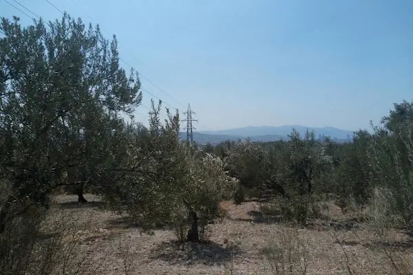 Bornova Yeni Mezarlığı - Resim 10