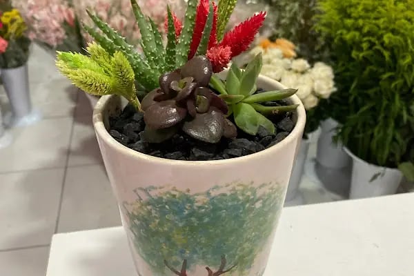 Nur Flowers Akyazı - Resim 20