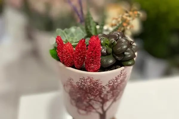 Nur Flowers Akyazı - Resim 17