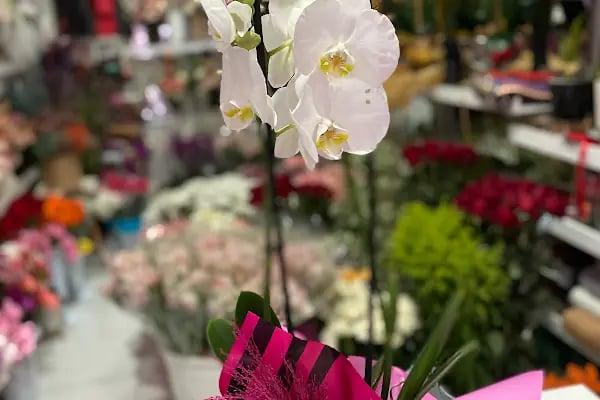 Nur Flowers Akyazı - Resim 9