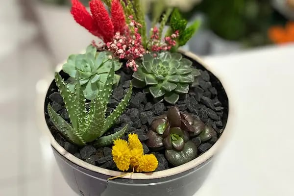 Nur Flowers Akyazı - Resim 14